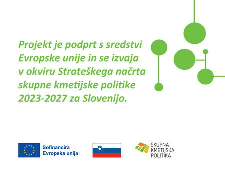 Projekt: Vodnjaki ljubezni