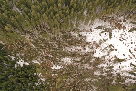 Vetrolom na Pokljuki